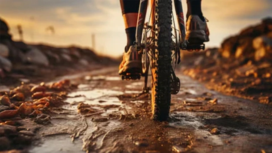 The Role of Tire Size in Bike Handling and Stability