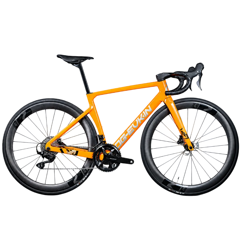 OG-Evkin LOONG Aero Carbon Road Frameset