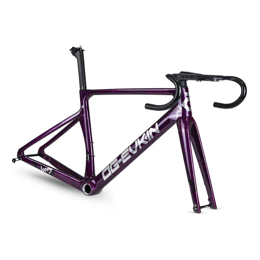 OG-Evkin LOONG Aero Carbon Road Frameset